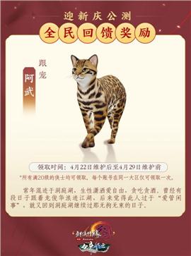 天龙八部私服涉赌
